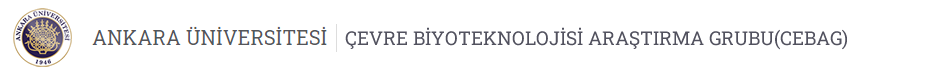 ÇEVRE BİYOTEKNOLOJİSİ ARAŞTIRMA GRUBU(CEBAG) Logo